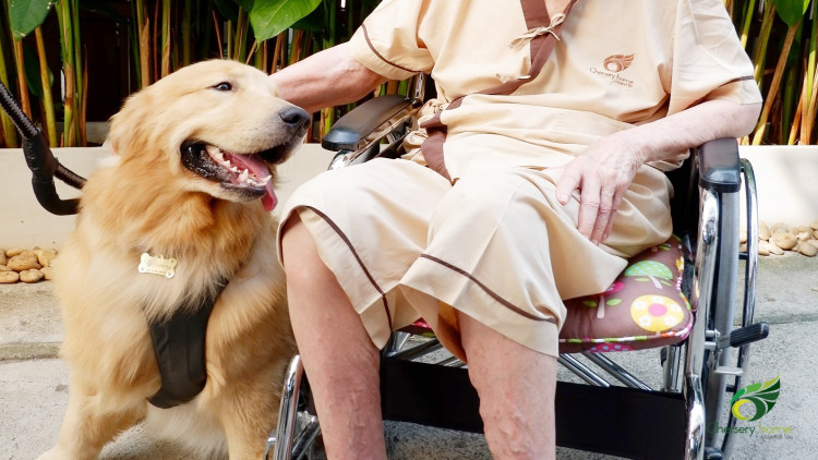 Chersery Home ร่วมกับ PRS Center  