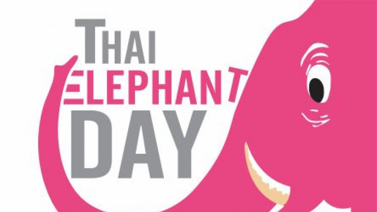 “จังซีลอน” เชิญร่วมงาน “วันช้างไทย”
