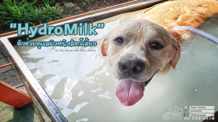 "Hydro-milk ตัวช่วยในการดูแลผิวหนังสัตว์เลี้ยง"