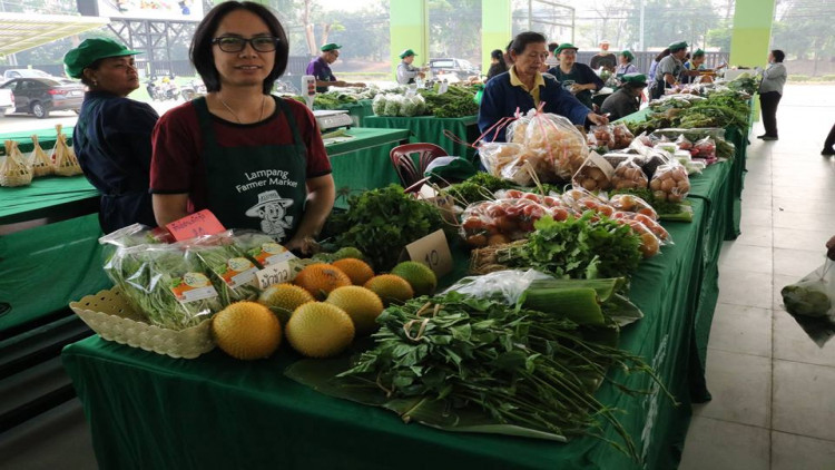 ตลาดเกษตรกรถาวรเมืองรถม้า ต้นแบบตลาดสินค้าคุณภาพ