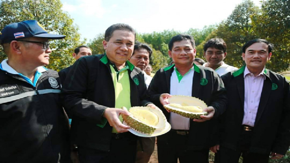 กรมส่งเสริมการเกษตร มุ่งพัฒนาระบบบริหารจัดการผลไม้