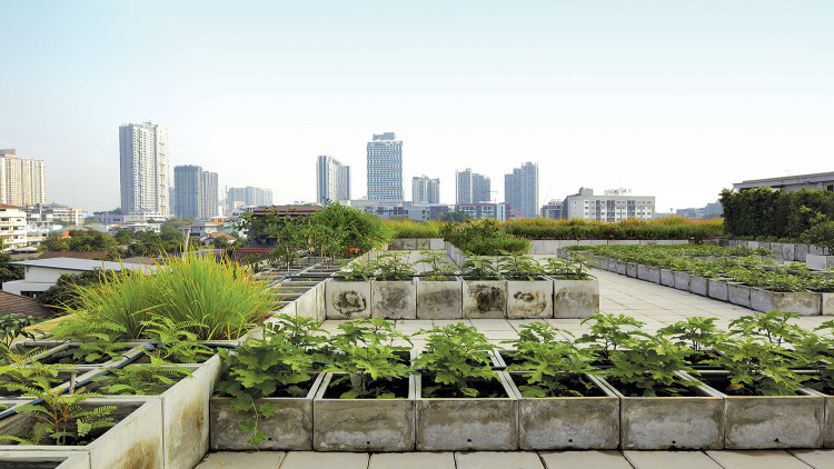 นีโอ คอร์ปอเรท ต้นแบบออฟฟิศในฝัน 