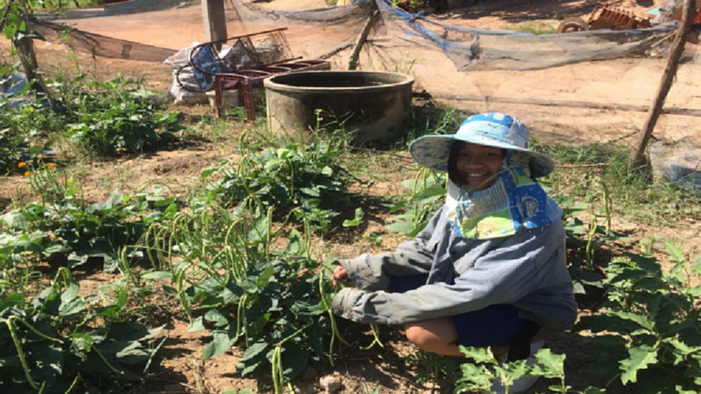 มูลนิธิ EDF ชวนคนให้ทุนนักเรียนยากจน