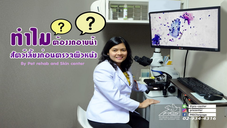 สงสัยกันหรือไม่ ทำไมน้องหมาหรือน้องแมวที่เป็นโรคผิวหนัง