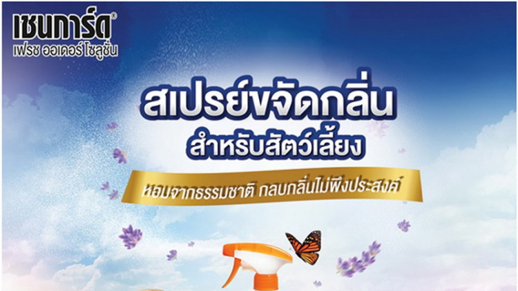 "เชนการ์ด" บุกตลาดเพิ่มช่องทาง - ขยายฐานลูกค้าใหม่ๆ