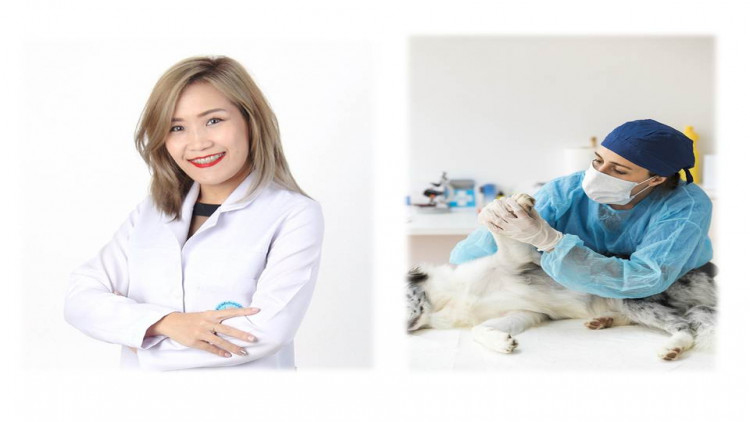 โรคผิวหนังในสัตว์เลี้ยง ปัญหาหนักอกที่มาพร้อมหน้าฝน