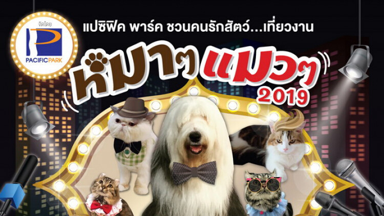 หมาๆแมวๆ 2019