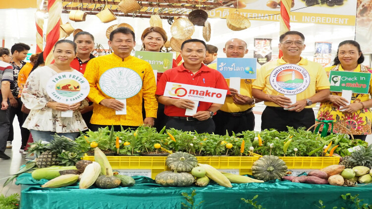 เทศกาลผักพื้นบ้าน รักสุขภาพ รักษ์สิ่งแวดล้อม แม็คโคร ภูเก็ต