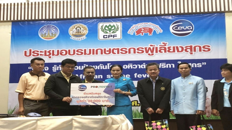 ซีพีเอฟร่วมมือปศุสัตว์จังหวัดให้ความรู้การป้องกันASFจ.ยโสธร