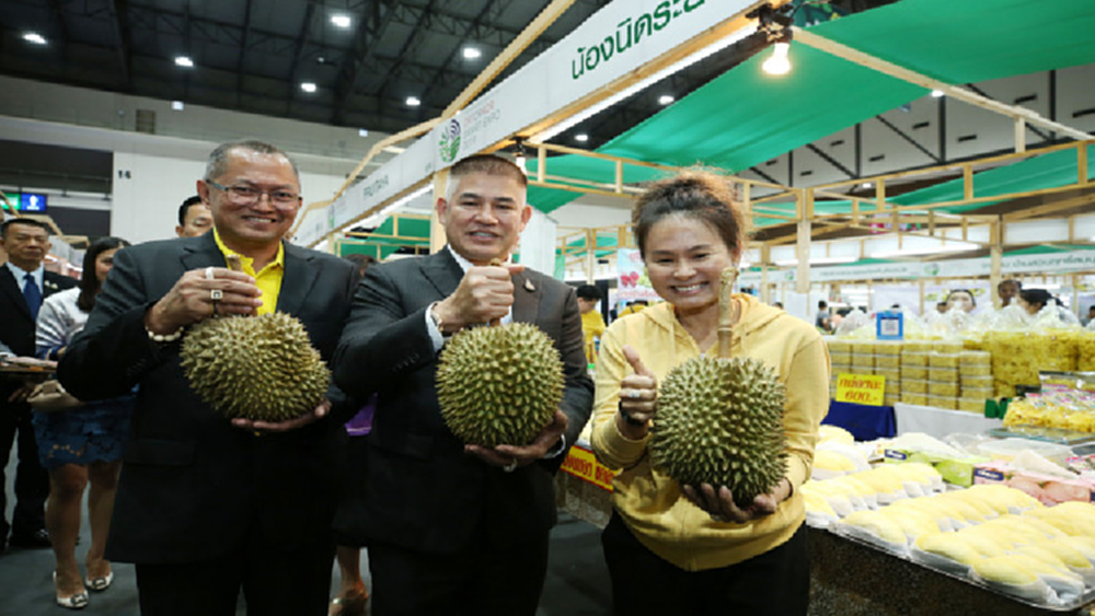 งาน "ORTORKOR SMART EXPO 2019"