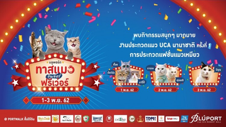 งาน “บลูพอร์ต ทาสแมวอินเตอร์ ฟรีเว่อร์”
