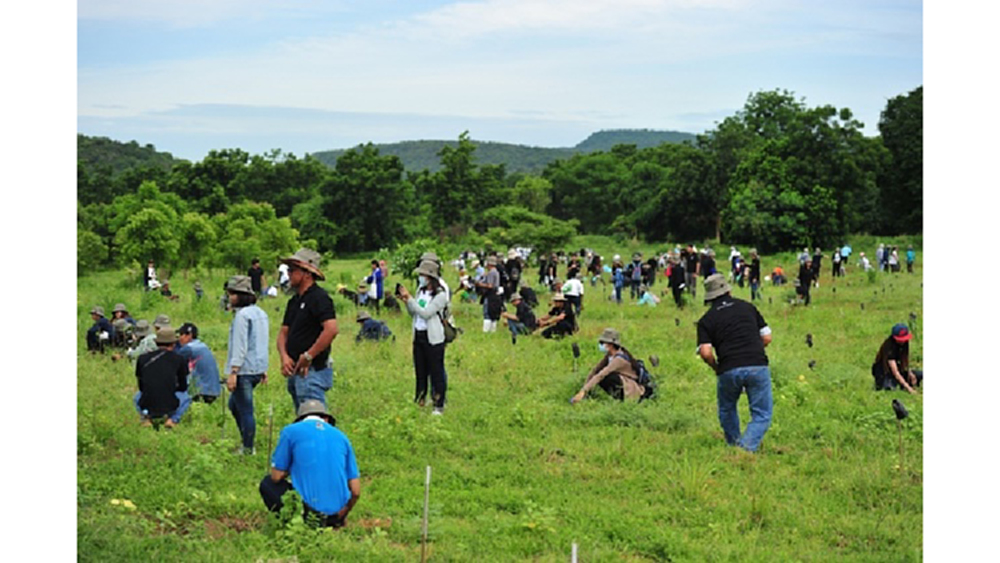 ชุมชนได้พึ่งผืนป่า ซีพีเอฟร่วมฟื้นฟู "เขาพระยาเดินธง"