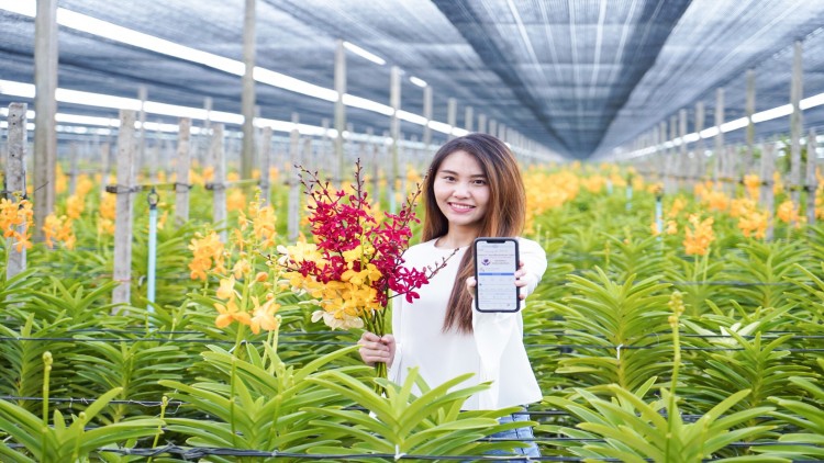 "TOC GROUP"ส่งออกกล้วยไม้รายใหญ่ ขายผ่านออนไลน์สู้โควิด-19