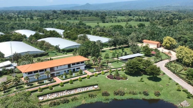 เปิดซีพีเอฟกรีนฟาร์ม (Green Farm) ฟาร์มหมูรักษ์โลกเป็นมิตรชุมชน-สิ่งแวดล้อม