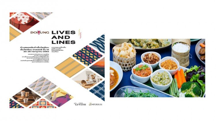 งาน DoiTung LIVES AND LINES