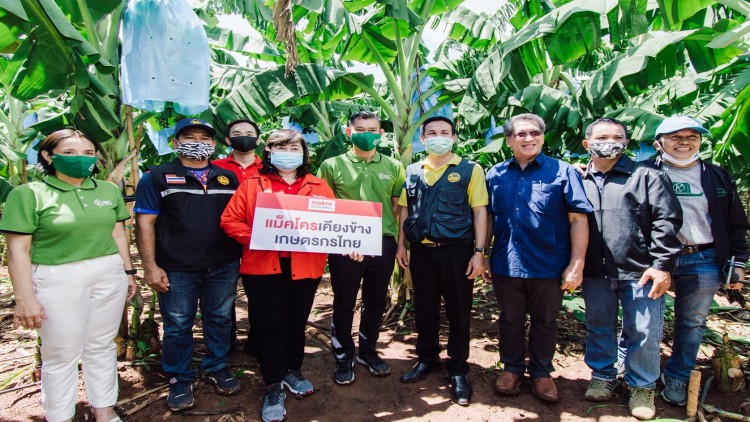 แม็คโคร จับมือ กรมส่งเสริมการเกษตร ยกระดับคุณภาพกล้วยหอมทองแปลงใหญ่โคราช