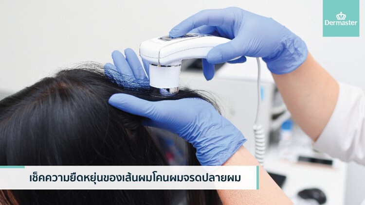 เดอมาสเตอร์ พัฒนาศูนย์ดูแลเส้นผมและปลูกผมครบวงจร (Dermaster Hair Center)