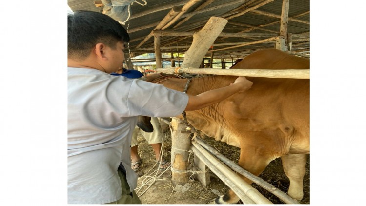 ‘เฉลิมชัย’ เฉียบ!!! สั่งลุยสกัดโรคลัมปี สกินในโค-กระบือ ให้อยู่