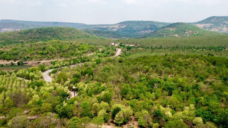 ซีพีเอฟ ร่วมฟื้นฟูความหลากหลายทางชีวภาพ ระบบนิเวศบนบกและทะเล