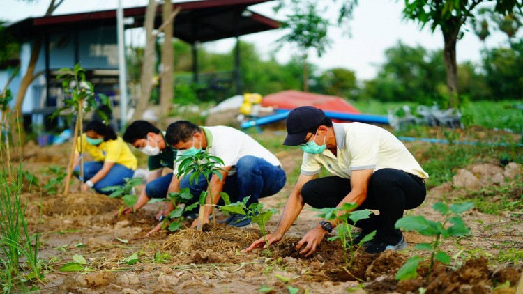 โรงงาน-ฟาร์มCPFทั่วประเทศ ร่วมปลูกต้นไม้ "โครงการรักษ์นิเวศ"