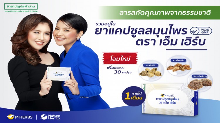 เห็ดกระถินพิมาน ข้าวเย็นเหนือ ข้าวเย็นใต้ สมุนไพรแก้น้ำเหลืองเสีย