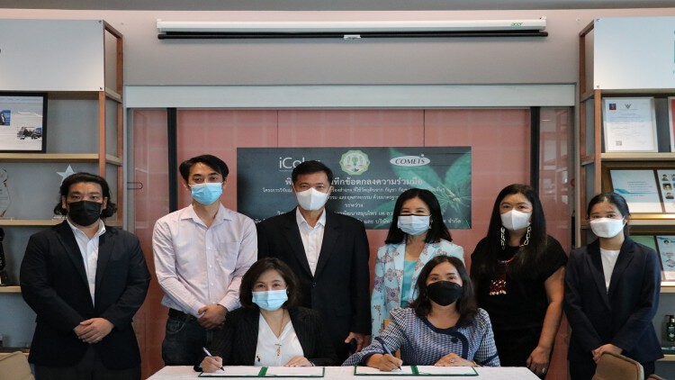"วิสาหกิจชุมชนเพลาเพลินฯ" ร่วมมือ "iColor" ผลิตภัณฑ์เครื่องสำอางจากกัญชา กัญชง