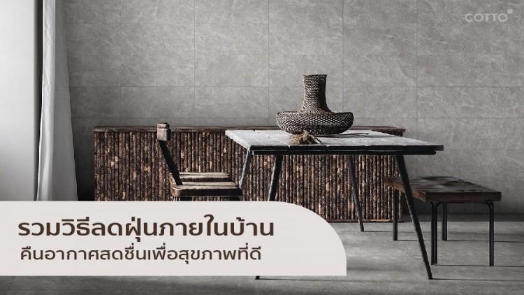 รวมวิธีลดฝุ่นภายในบ้าน คืนอากาศสดชื่น เพื่อสุขภาพที่ดี