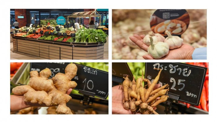  เปิดวาร์ปตำรับสมุนไพรไทยไม่แพ้ชาติใดในโลก