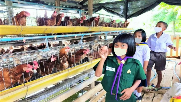 รร.บ้านคลองเรือ จ.กำแพงเพชร อีกหนึ่งความสำเร็จถ่ายทอดองค์ความรู้เลี้ยงไก่ไข่ 