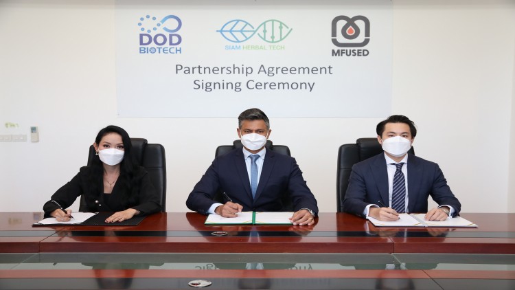 บิ๊กดีล “ DOD - สยาม เฮอเบิล เทค ” ดึง “ MFUSED Group ”เข้าถือหุ้น
