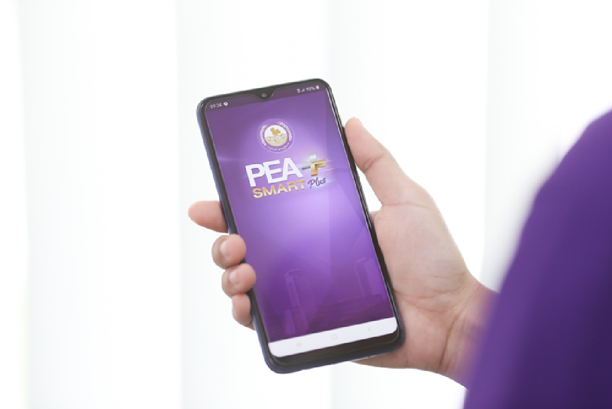 61 ปี การไฟฟ้าส่วนภูมิภาค มุ่งสู่ Digital Transformation