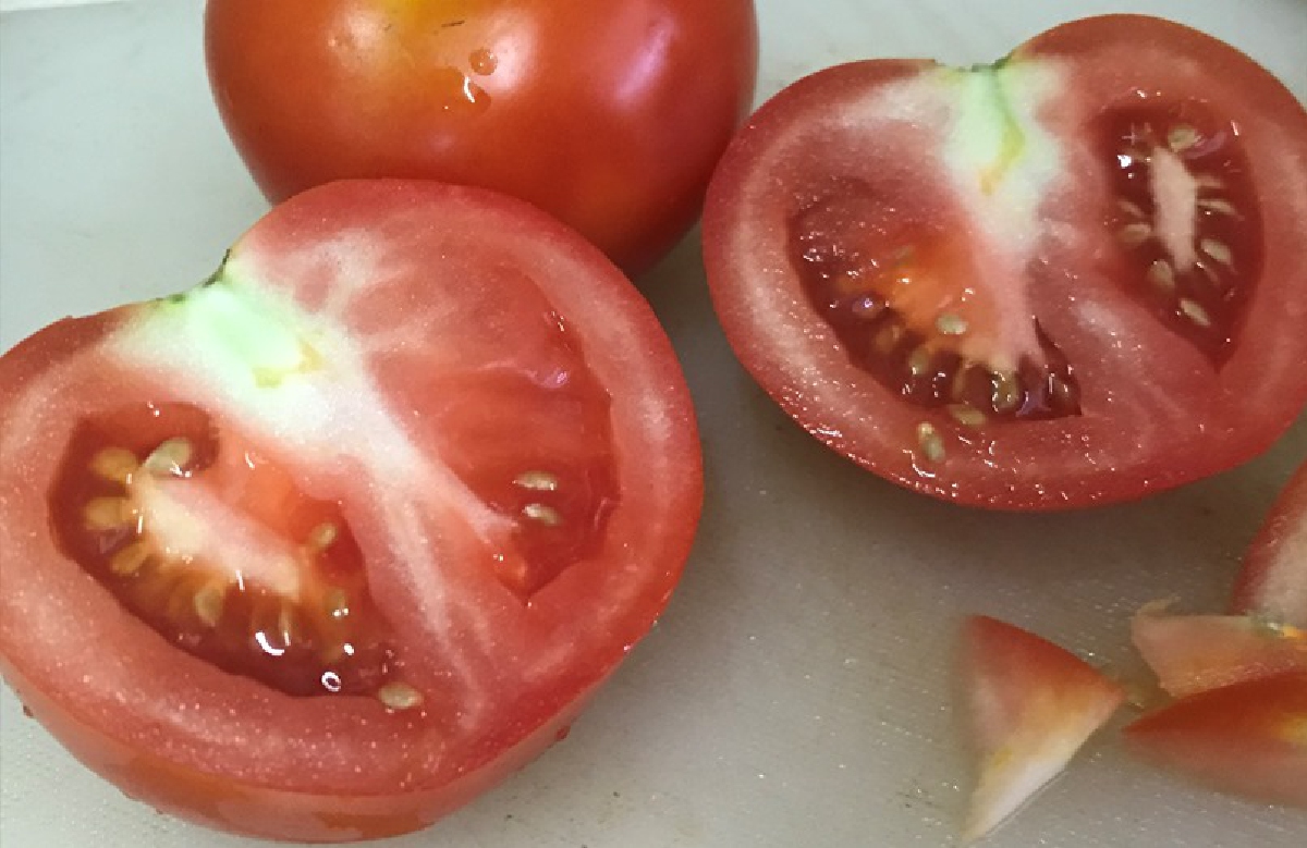 มะเขือเทศ