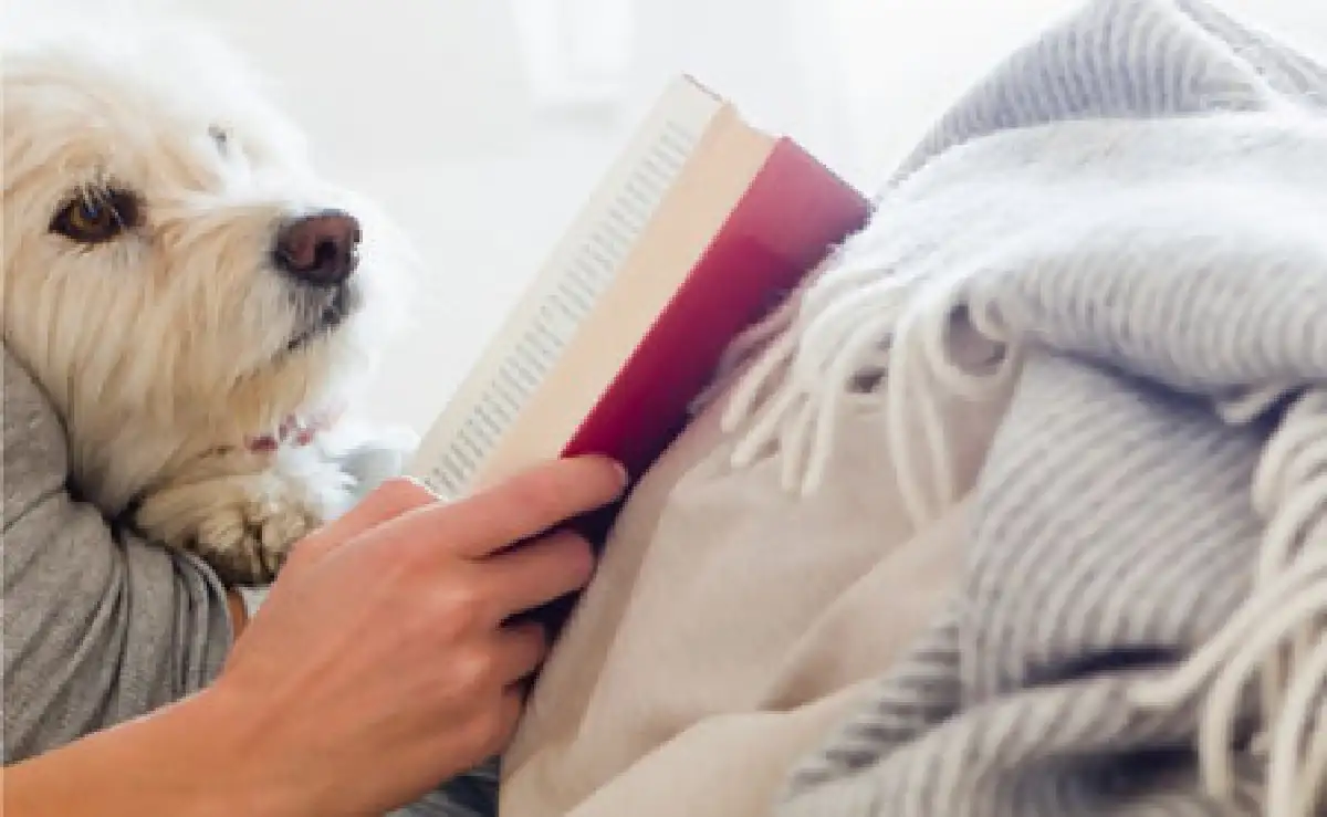 ‘Kimpton’ โรงแรมที่พักของชาวหนอน เปิด Kimpton Book Club