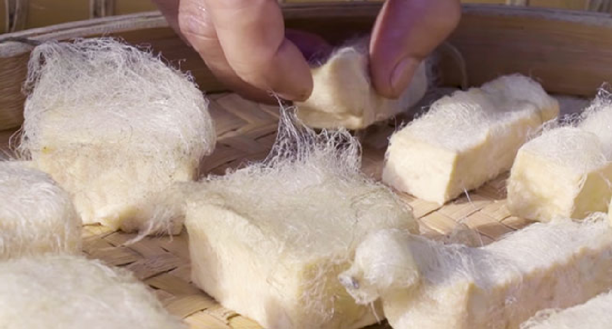 เต้าหู้...อาหารแห่งอนาคต ประโยชน์ของเต้าหู้ และ 5 เมนูเต้าหู้ อร่อยไม่ซ้ำ