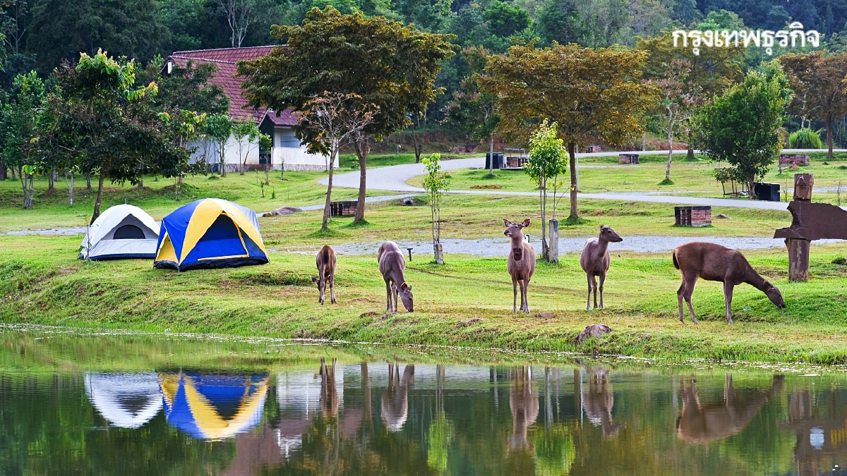 เช็คมาตรการ 