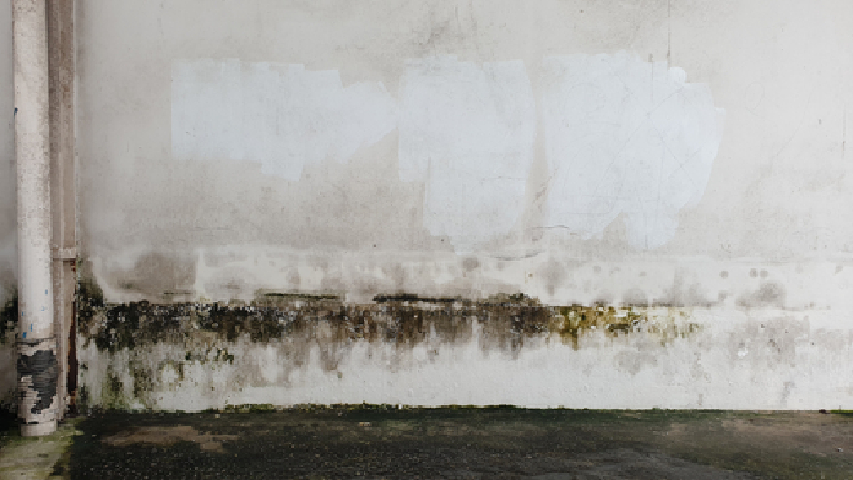 เอสซีจี โฮม เอ็กซพีเรียนซ์แนะวิธีตรวจเช็คบ้านหลังน้ำท่วม