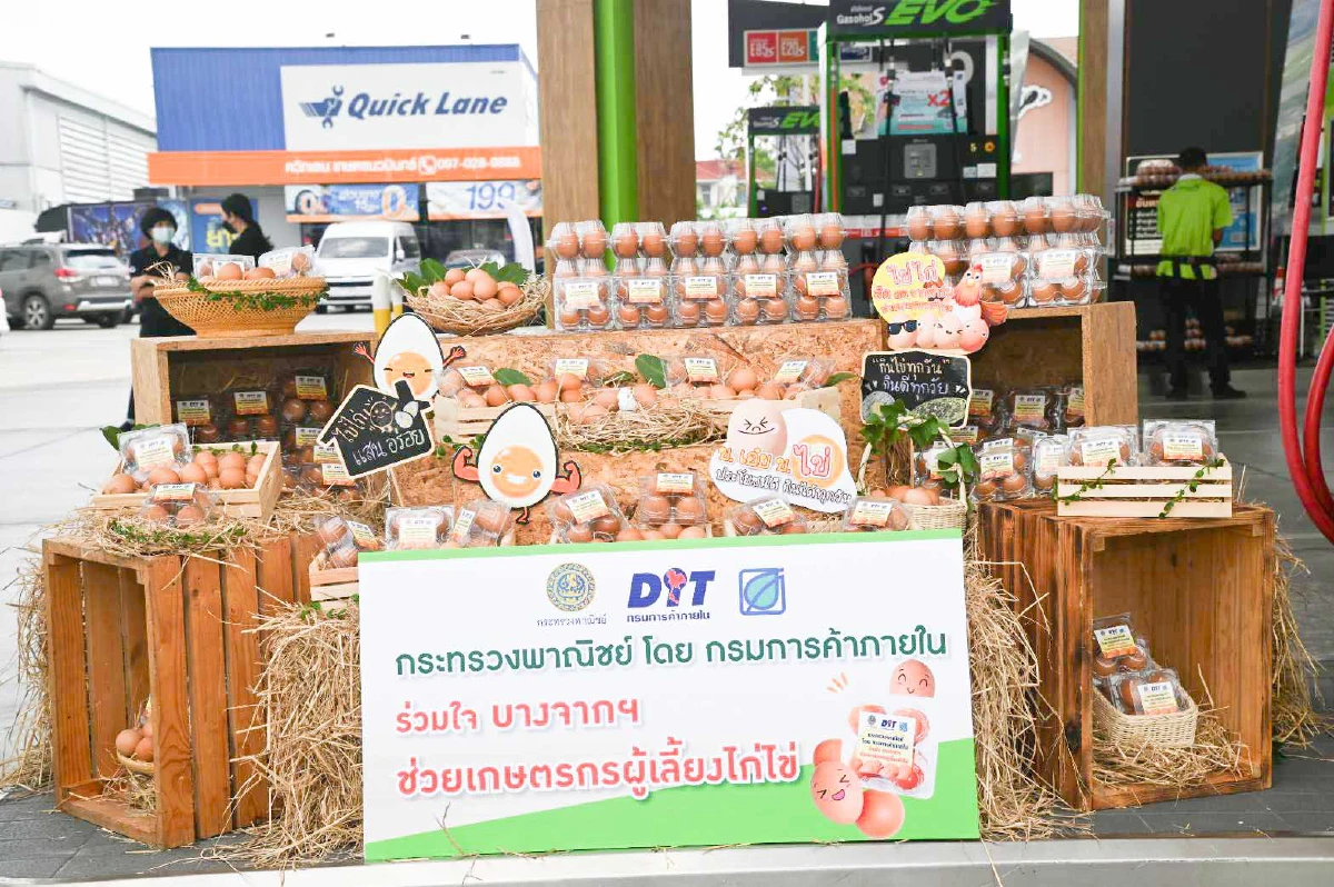 พาณิชย์จับมือปั๊มน้ำมัน แก้ปัญหาไข่ไก่ล้นตลาด