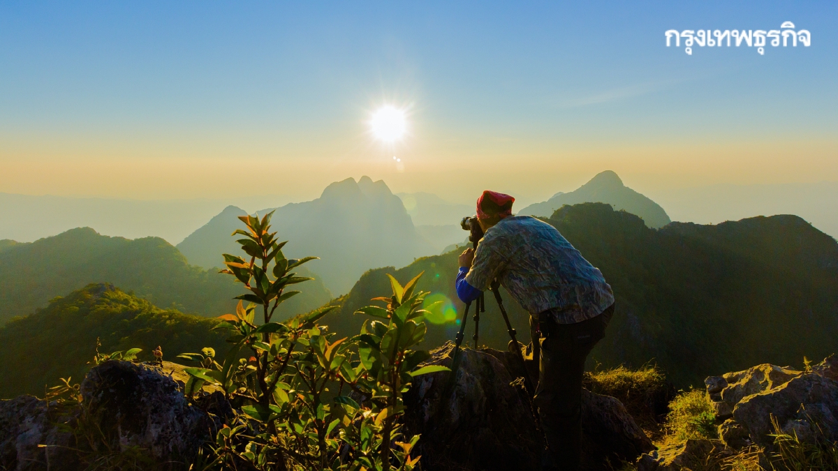 เช็คมาตรการ 