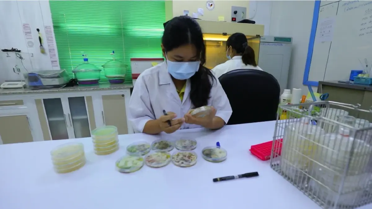 ศูนย์วิจัยข้าวชัยนาท ส่งเสริมเกษตรกรแปลงใหญ่ ปลูกข้าวเมล็ดพันธุ์ดีมีคุณภาพ ผลผลิตสูง กำไรงาม