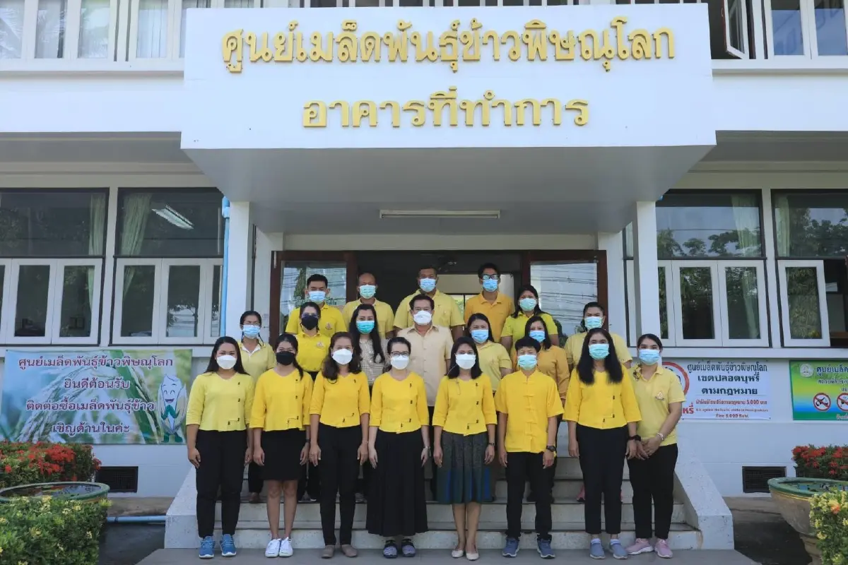 หนุนเกษตรกรพิษณุโลก ปลูกข้าวเมล็ดพันธุ์ดีมีคุณภาพ 