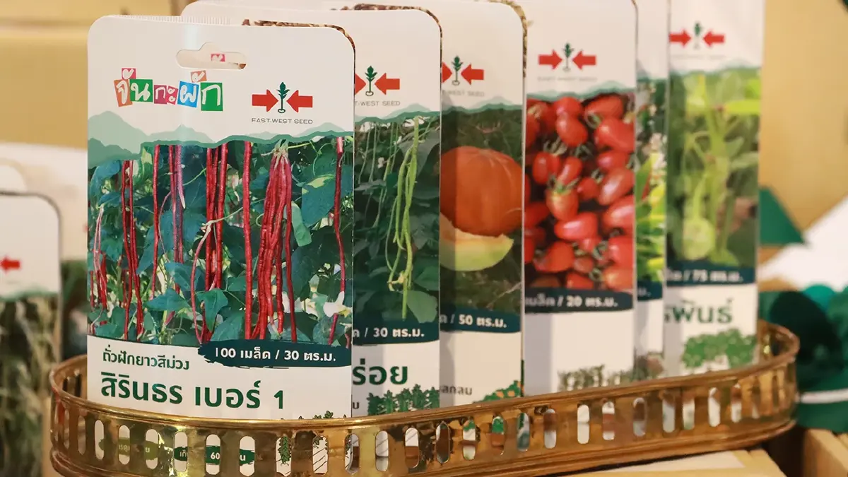 "ปลูกผัก" ง่ายขึ้น ด้วยชุด “จันกะผัก ส่งรักปีเสือ 2565”