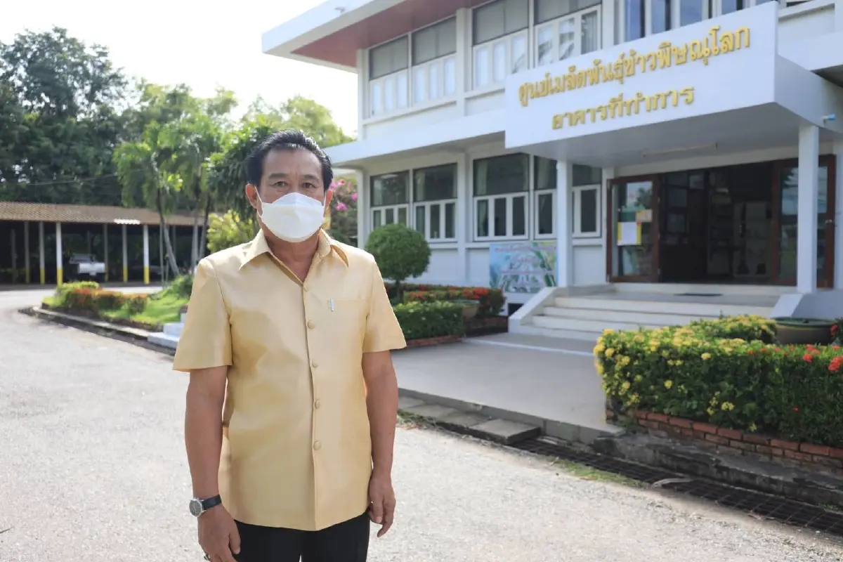 หนุนเกษตรกรพิษณุโลก ปลูกข้าวเมล็ดพันธุ์ดีมีคุณภาพ 