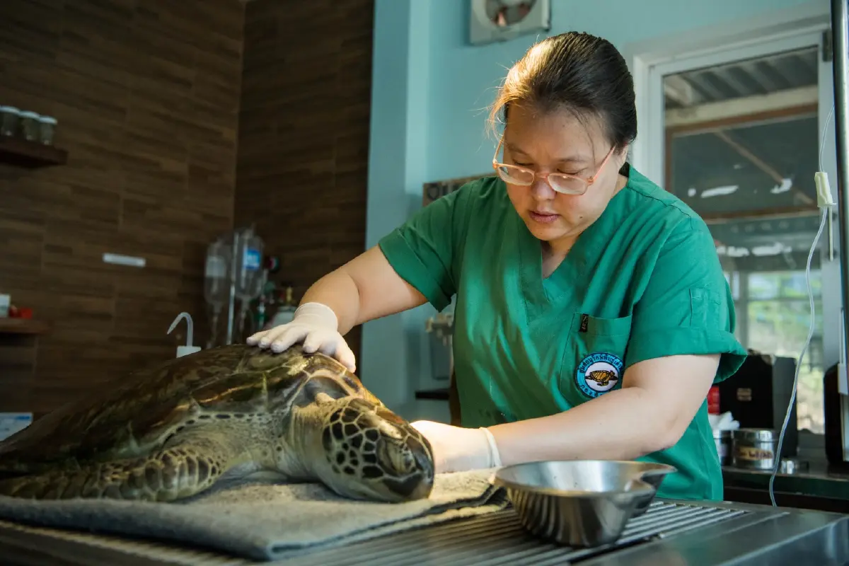 “ทะเลเพื่อชีวิต” ภารกิจพิทักษ์ท้องทะเล สร้างรอยยิ้มแก่ชุมชน