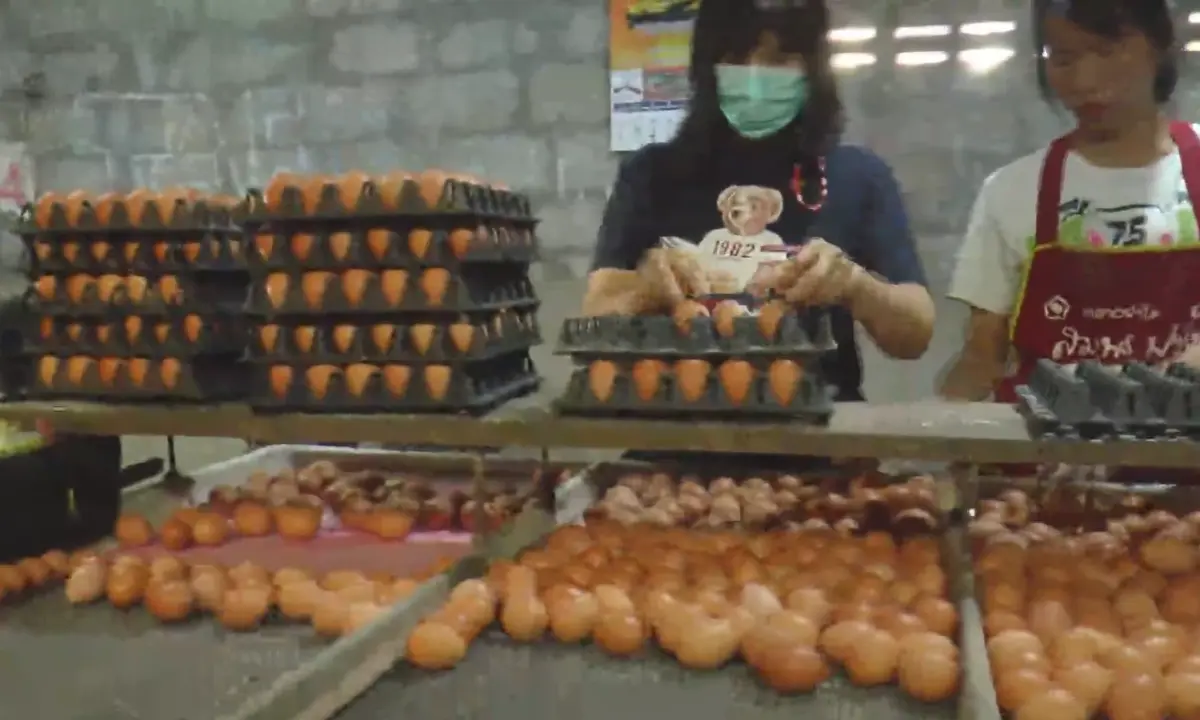 แม่ค้าโอด ไข่ไก่แพงลูกค้าหาย พร้อมลดราคาตามหน้าฟาร์ม