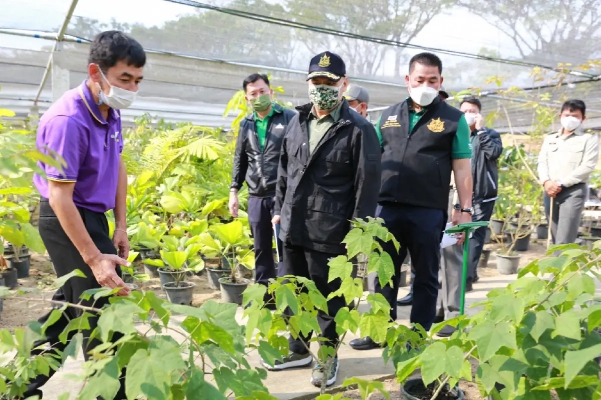 “วราวุธ” ติดตามโครงการสร้างป่า สร้างรายได้ ตั้งเป้าปี 65 เพิ่มอีก 4พันไร่