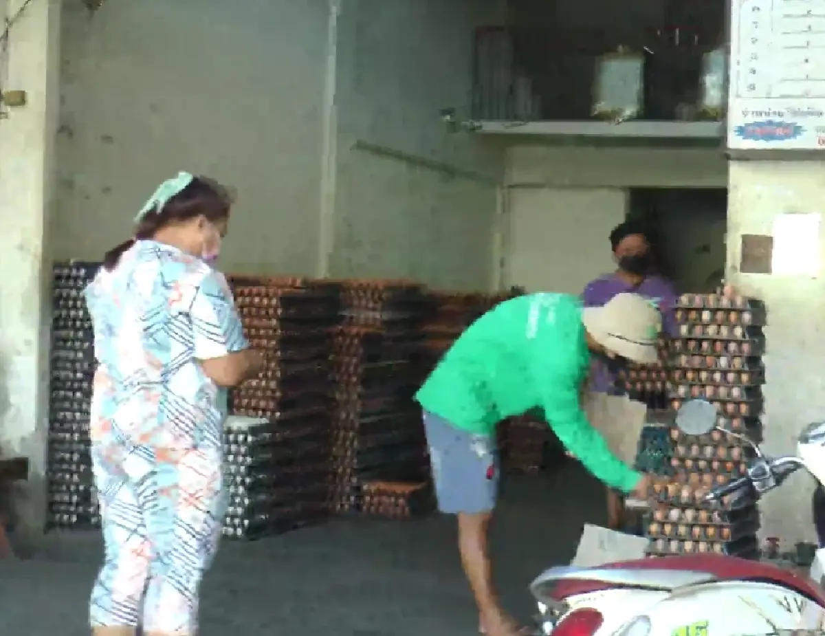 แม่ค้าโอด ไข่ไก่แพงลูกค้าหาย พร้อมลดราคาตามหน้าฟาร์ม