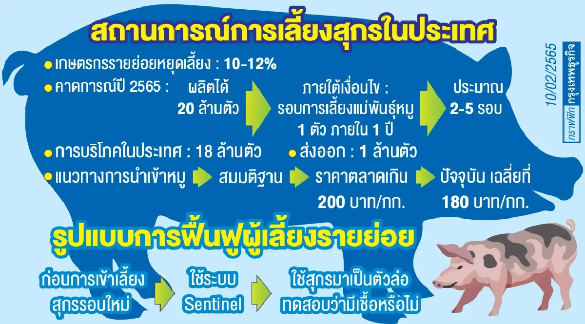 แผนฟื้น“ผู้เลี้ยงหมู”รายย่อย     คืนซัพพลายเข้าระบบครบปีนี้