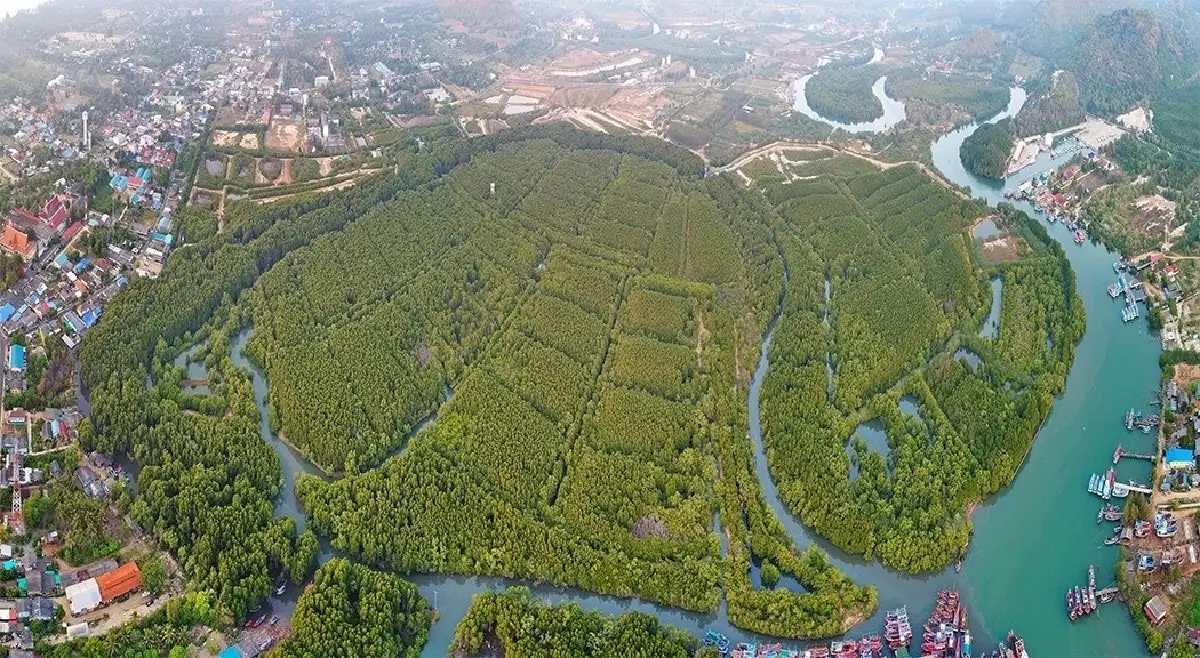 เดินหน้าโครงการ "ศูนย์ศึกษาเรียนรู้ระบบนิเวศป่าชายเลนสิรินาถราชินี" ประจวบคีรีขันธ์