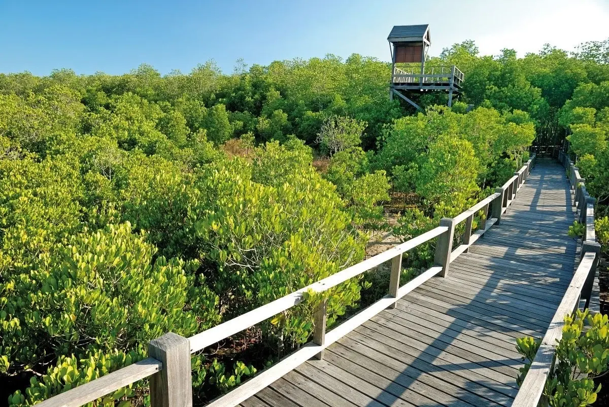 เดินหน้าโครงการ "ศูนย์ศึกษาเรียนรู้ระบบนิเวศป่าชายเลนสิรินาถราชินี" ประจวบคีรีขันธ์