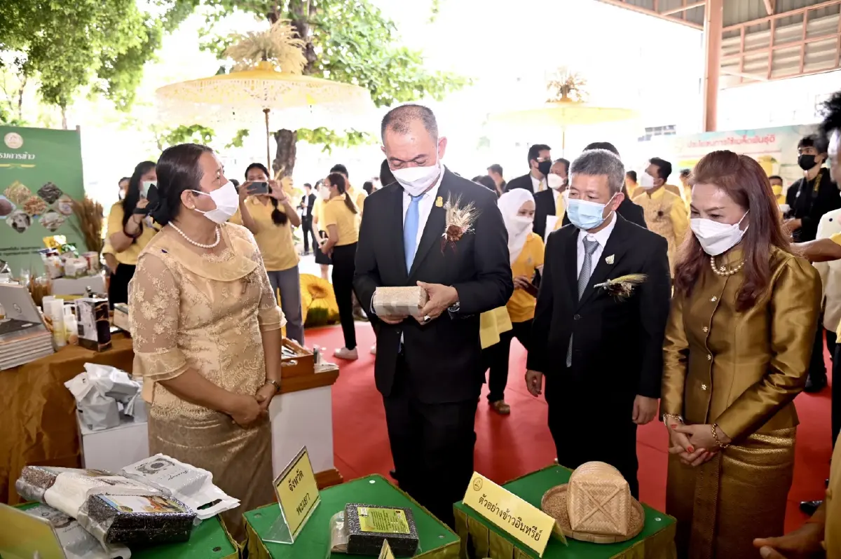 เฉลิมชัย ลั่น พัฒนาพันธุ์ข้าวแข่งตลาดโลก ดันชาวนารวมกลุ่มสร้างอำนาจต่อรอง